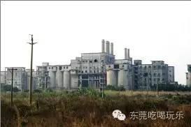 东莞今日一线爆料石排,今日一线独家爆料揭秘